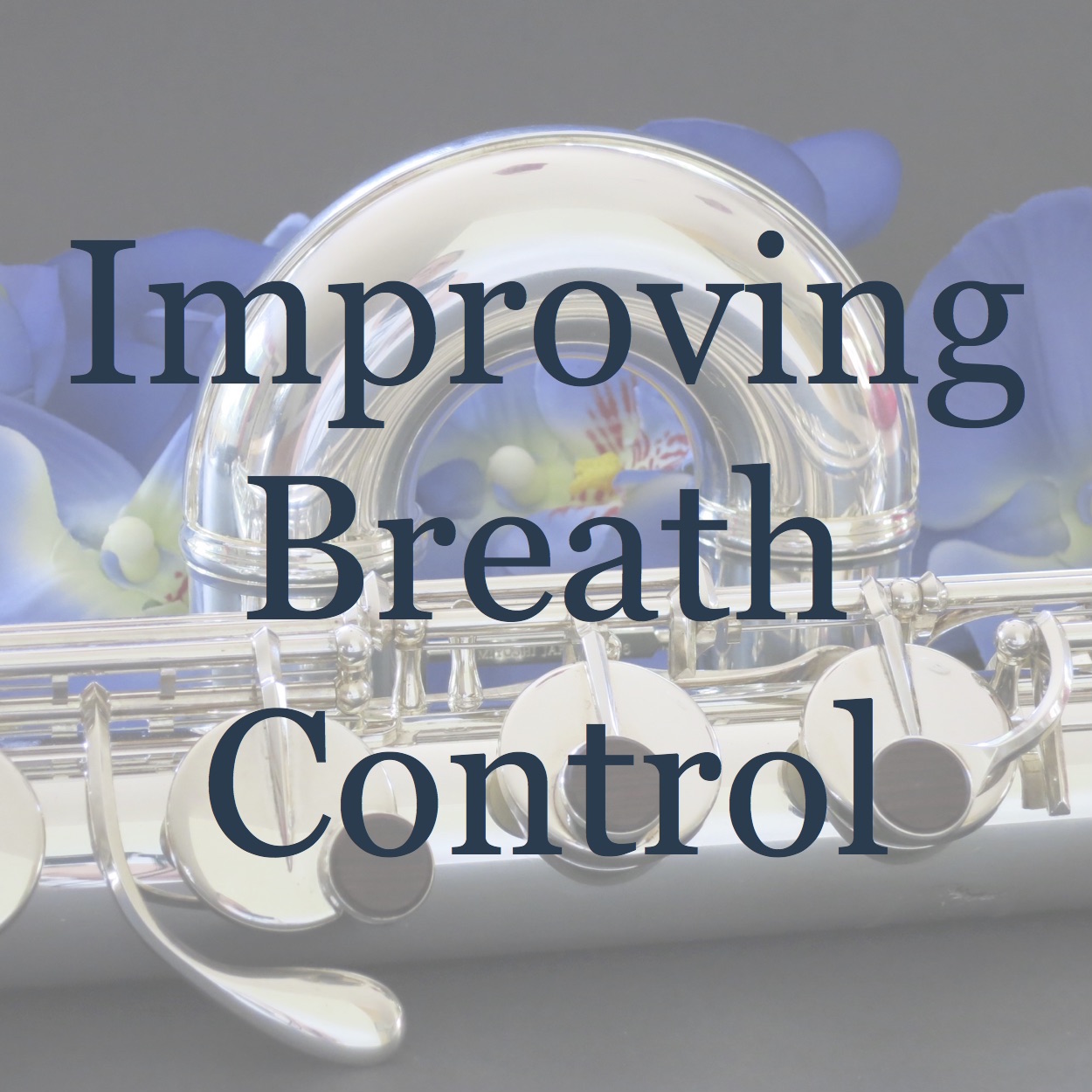 Low Flutes Society Nov Event Icon 2